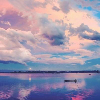 Rina Putri avatar